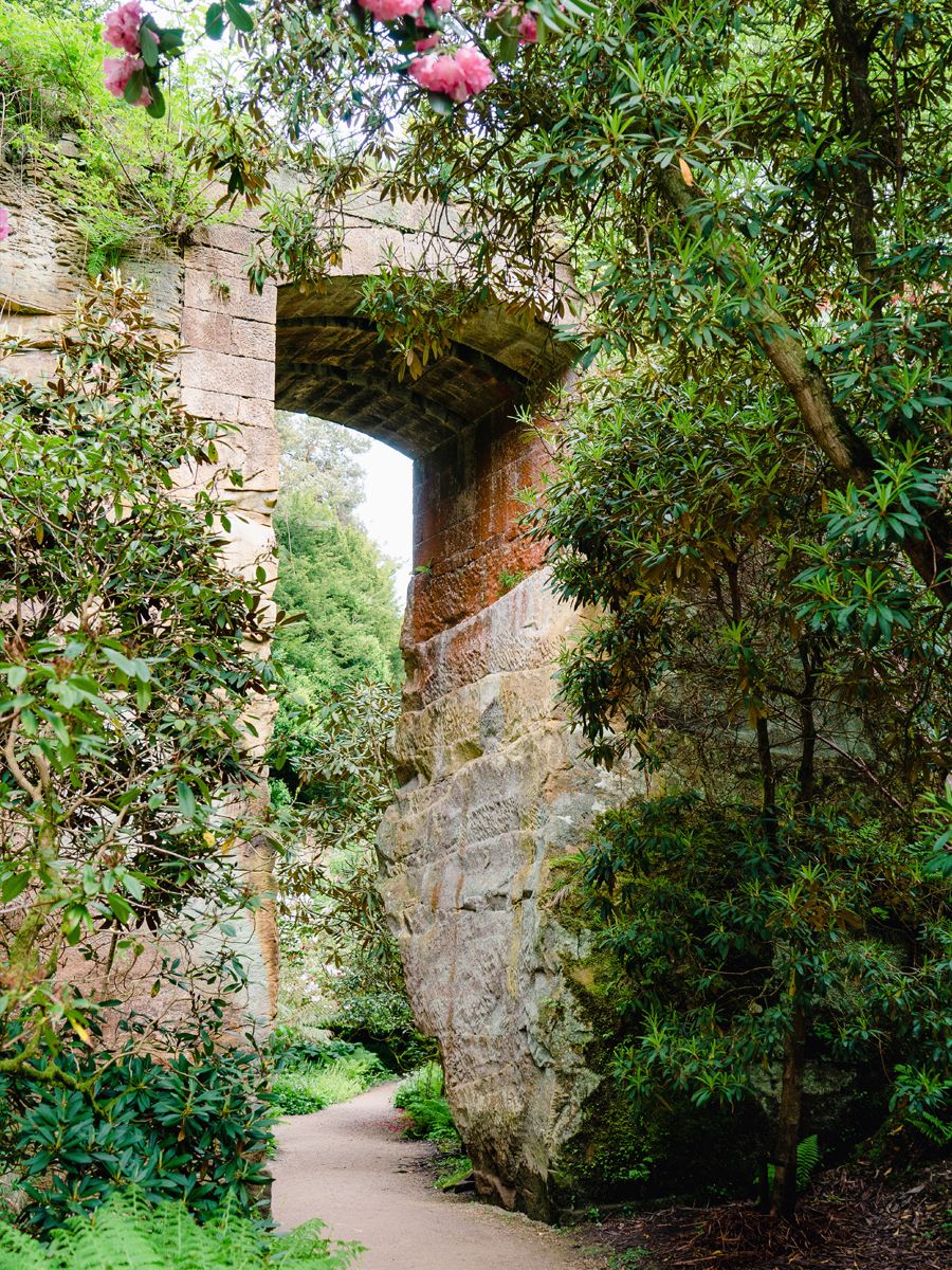 The Quarry Garden at Belsay Hall