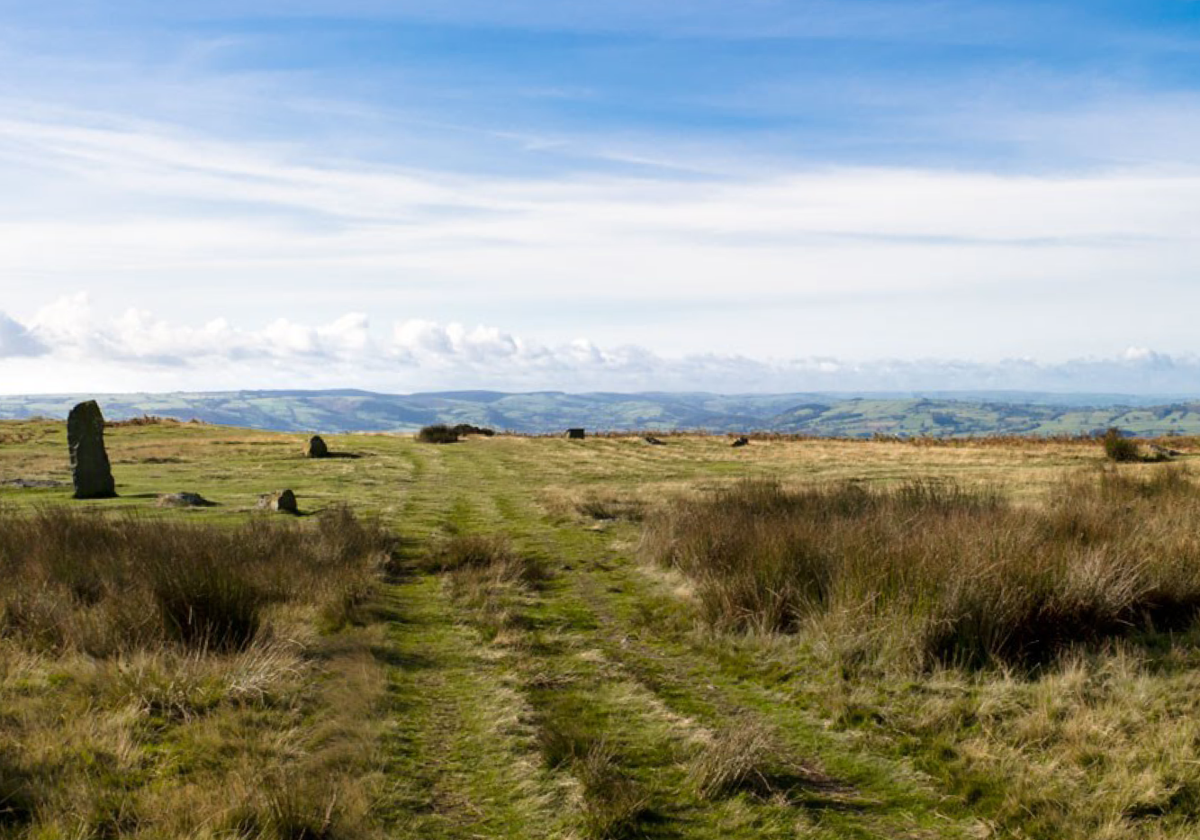A field with a visible track leading into a circular space with some standing stones visible