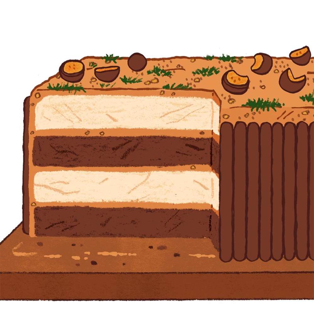 An illustration of a layered strata cake