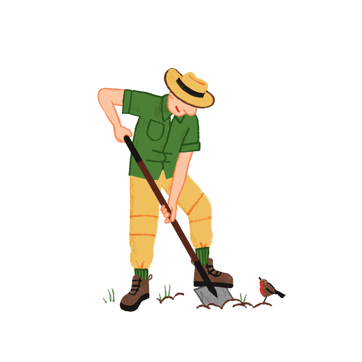 An illustration of an archaeologist digging into the ground while a robin watches