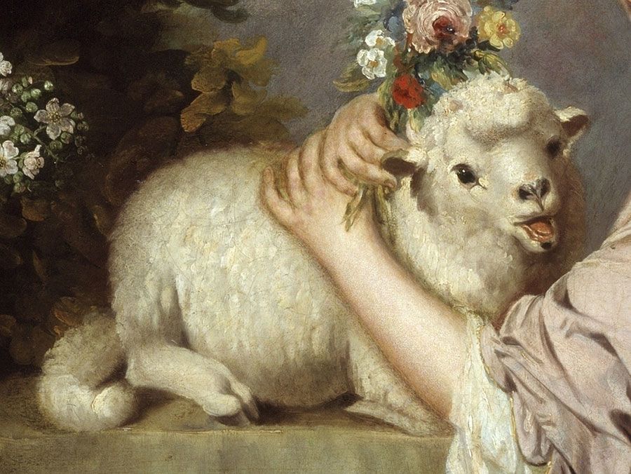 Detail from Lady Mary Leslie, by Joshua Reynolds, 1764 