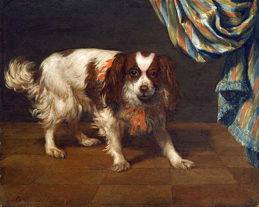 A King Charles Spaniel, 1665, by Gysbert van der Kuyl (1604–73). This lively picture shows the spaniel appearing from behind a drawn back curtain, as if on a stage without its master  