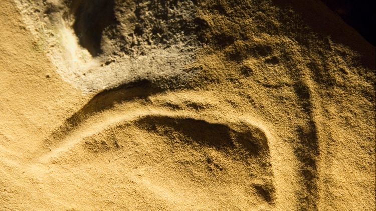 Image: Detail view of the ibis bird-head rock carving at Church Hole, Creswell Crags, Holbeck © Historic England